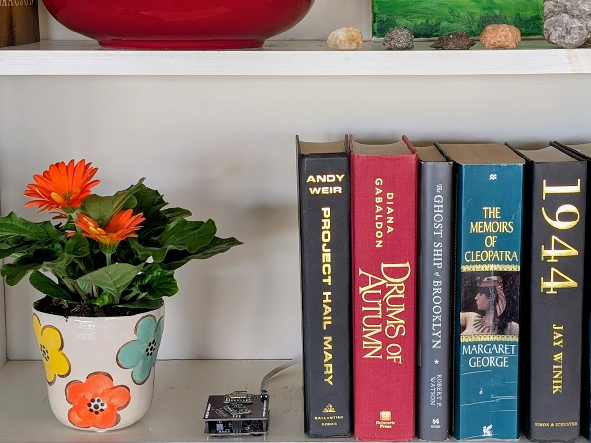 Forager on a bookshelf